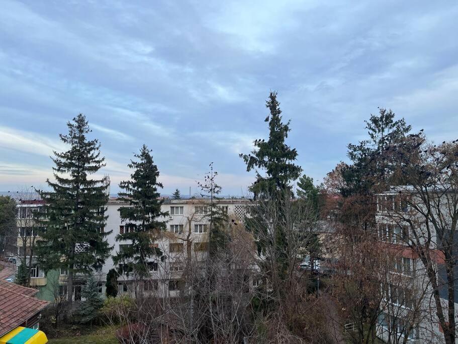 Apartament Theta- langa centru, cada hidromasaj Suceava Exterior foto